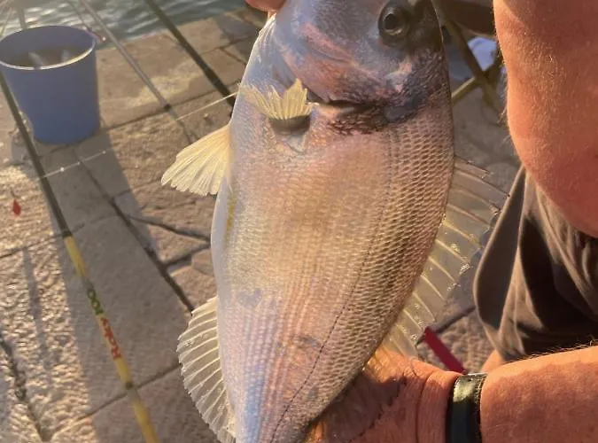 Appartement Rovci 1 Slatine