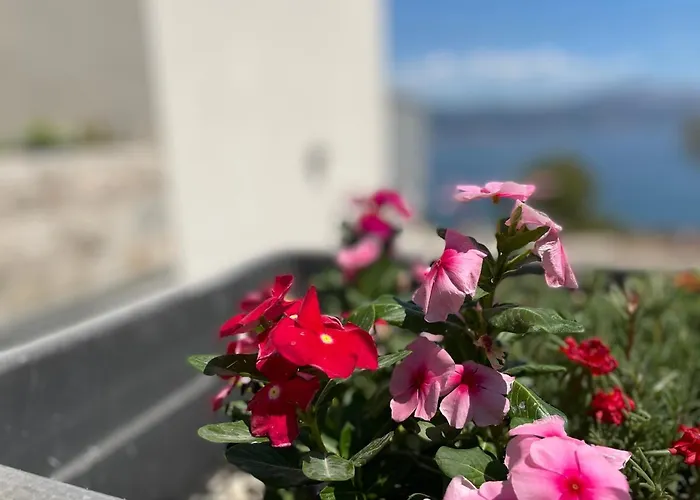 Rovci 1 아파트 슬라티네