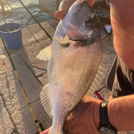 アパート Rovci 1 スラティネ