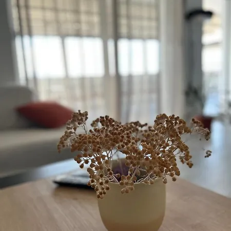 Rovci 1 * スラティネ